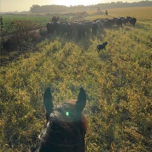 Meet your Posher, Macy